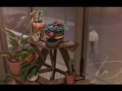 필로우 토크- 화분🌱