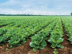 기들전자 개발 1팀 - 12