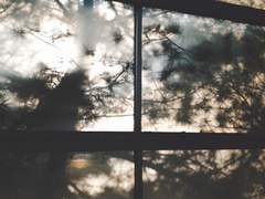 【마식커】조이 벨리타 [Zoe Belita]