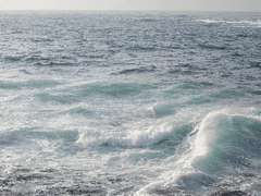 [죠나에리디오] 행복