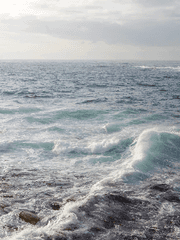 [JJBA, 죠나에리디오] 행복