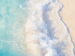 <사랑은 이름으로부터> 수요조사