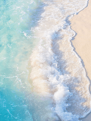 사랑은 이름으로부터