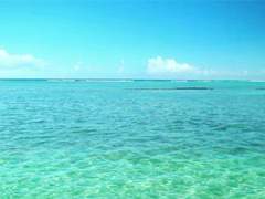 도람커 커플게임