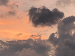 죠타로 얼굴 연습