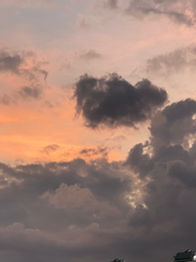 죠죠를 먹고 말앗어요, , ,