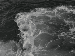 떨어진 별을 보고 웃던 남자