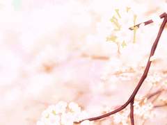 [일하는 세포 드림/U1146XAE3803]너희들 분명히 썸 타는 중이라니까