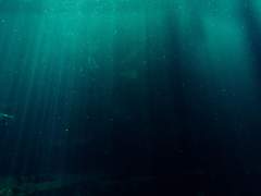 [뱀슨인옷] 환생해도 이 바다에서. 04