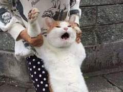 어느 집 강아지가 이렇게 말을 안 들어?