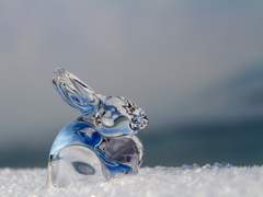 별을 한가득 품은 소녀