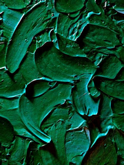 잰정 _ 샐러드 데이즈