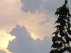 닫힌결말을 원하고 행복도 원해