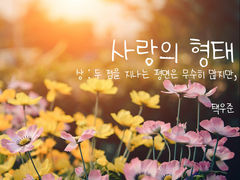 사랑의 형태 上