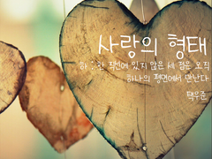 사랑의 형태 下