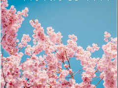 새하얗게 웃던 날을 기억하나요