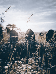 공허를 담은 영원