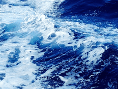 [JJBA, 화승~화쿠죠부인] 河海之心(하해지심)