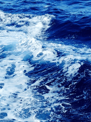 [JJBA, 화승~화쿠죠부인] 河海之心(하해지심)