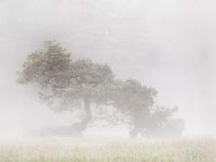 사람을 살리지 못한 의사는 홀로 시체를 내려다 본다.