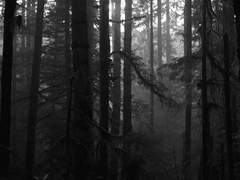 [세븐틴 조각글 / 팬픽] [순찬] - 왔어요?