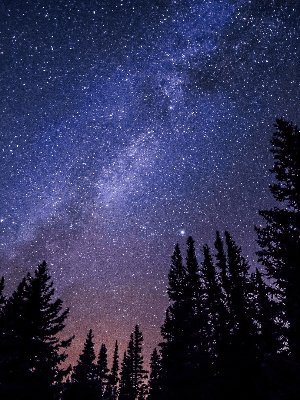 미넬의 첫 여행 동반자라니,