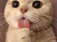 [이마크] 간택되셨습니다. 저를 키워주세요.++