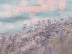 Minn elskulegur til fjölskyldunnar