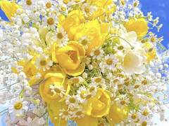 나에게, 나를 위해, 나만의