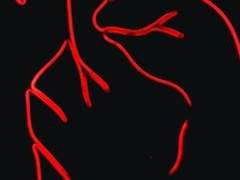 너를 만난 그날 밤