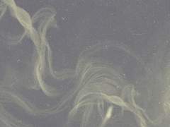 [앤메리] 해피 할로윈