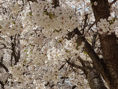 [마도조사/망기무선] 돌고 도는 물레방아 002화