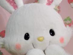 네오퍼니쳐컴퍼니 2