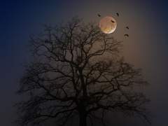 The day the dead return.