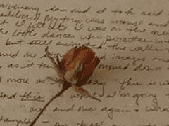 또 다른 이야기.