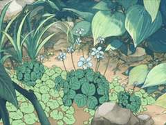 기억하지 않는걸까, 못 하는걸까