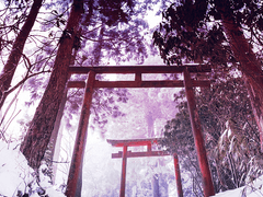 룰루랄라 au 그리기