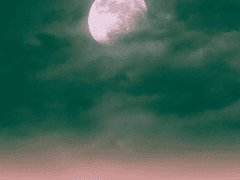 7화. 마을의 부정 탄 아이