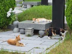 [무슨 사연으로]