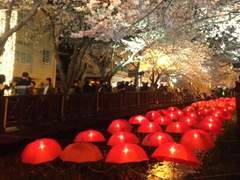 뜰팁 상황극 신들에 대한 고찰