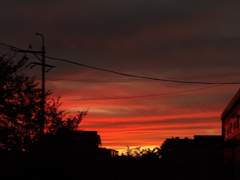 [우리가 걷던 길]