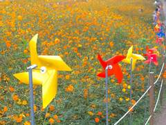 [알록달록 색의 계절]