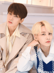 효과직방 일회용 타이레놀