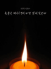 [중혁독자] 촛불은 꺼지기 전에 가장 밝게 빛난다 [完]