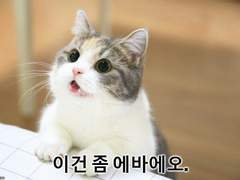 127막내 김여주 모먼트 EP.35