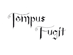 핸드 레터링 <V 에버 애프터>