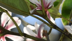 죽은 이의 영혼을 불러온다 하던가.