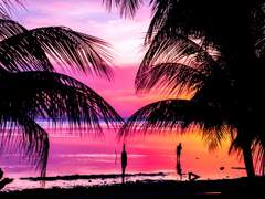 토우 / 17 / 검술학부