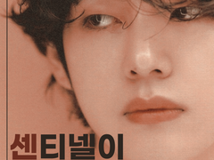 센티넬이 센티넬을 좋아할 때