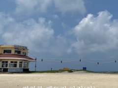 평화를 깨트린 다정(하)